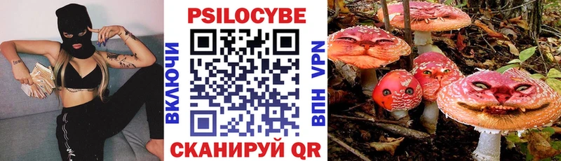 как найти закладки  Гатчина  Галлюциногенные грибы мицелий 
