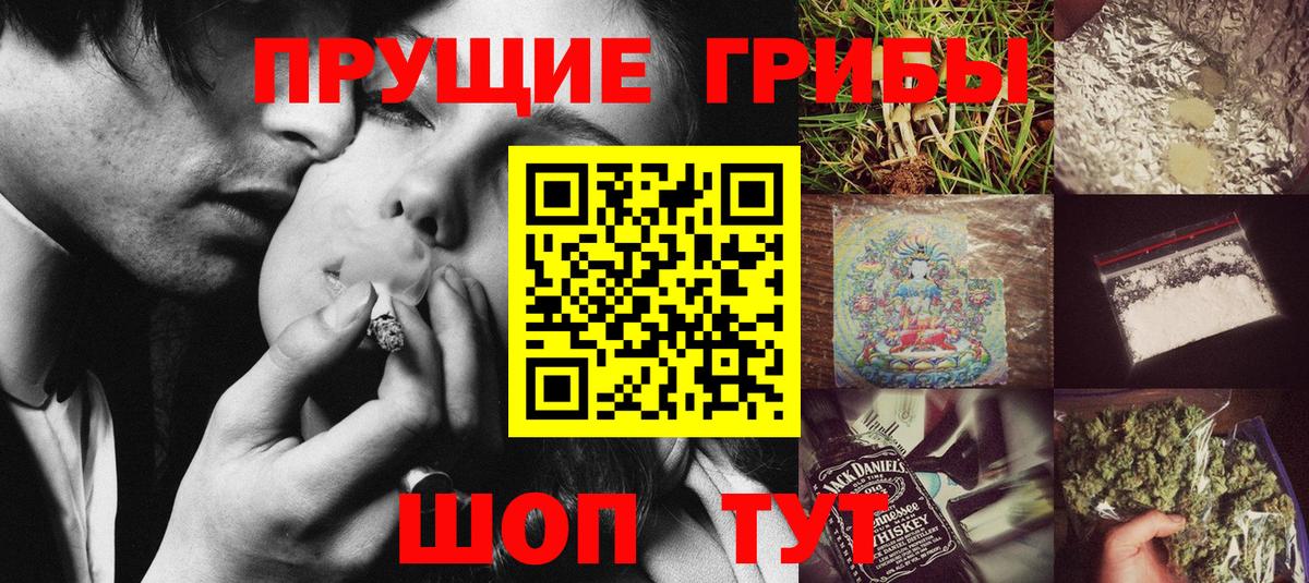 Псилоцибиновые грибы Cubensis  Гатчина 