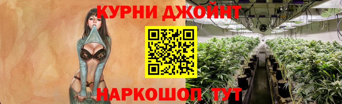 Каннабис VHQ  Вход с VPN  Гатчина  Шишки марихуана планчик 