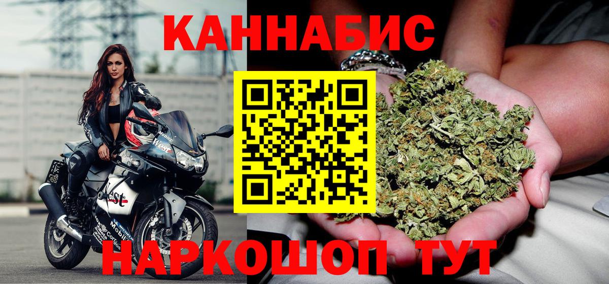 Канабис планчик Гатчина